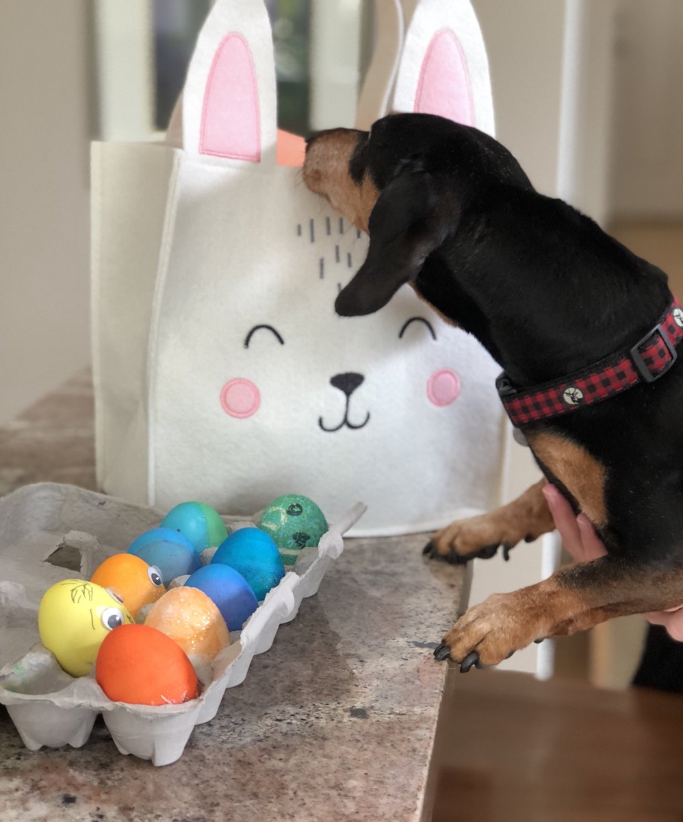 Happy Easter! 🐰🐣🐇