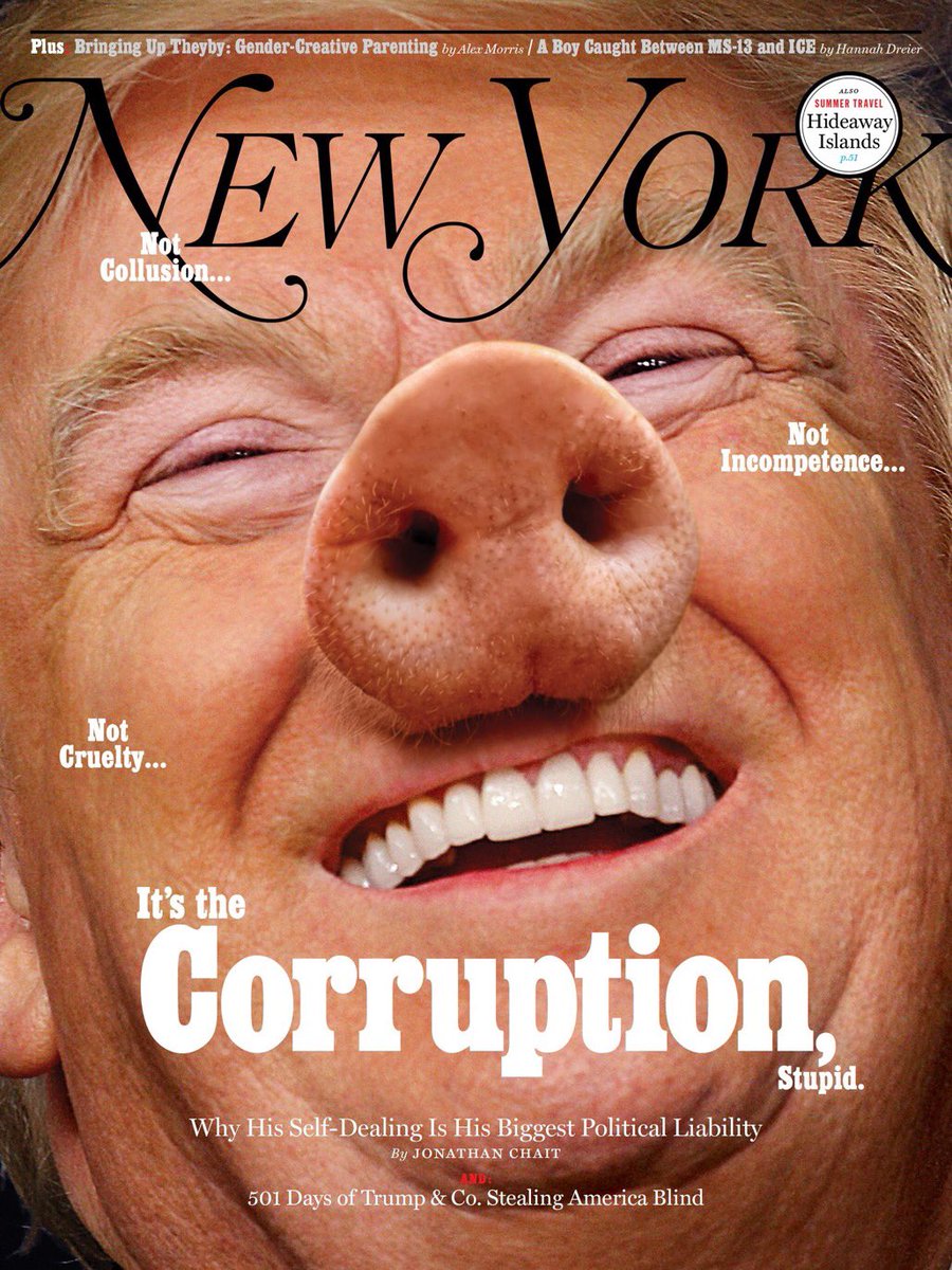 kathygriffin's tweet photo. Well done @NYMag https://t.co/XGXrDZ1jWc