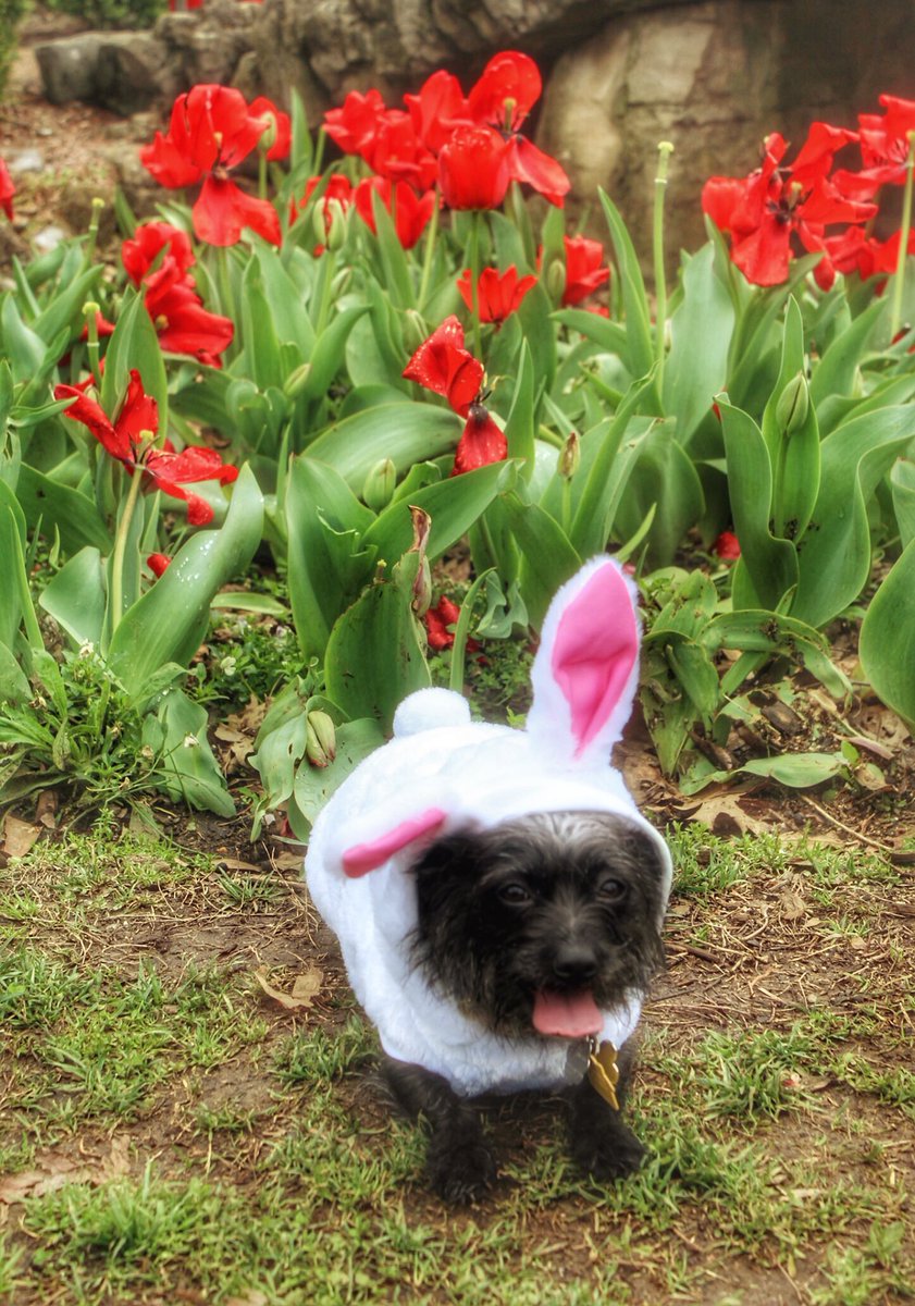 Cool springs tweet media