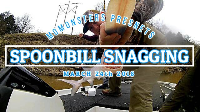 (LINK IN BIO) New Snagging video is live on YouTube, go check it out and make sure to SUBSCRIBE so that you don't miss the next video!!! #momonsterstv #snagging #spoonbill #TreasureHunt #WhatGetsYouOutdoors #rivermonsters #Missouri #osageriver