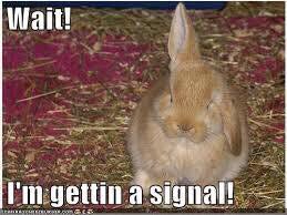 ThePhilosopurr's tweet image. Rabbit ears.. worked for the television...
#EasterFools