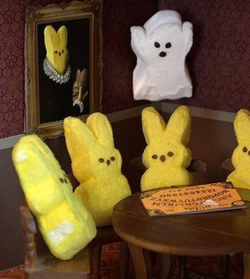 GulfCitySherri's tweet photo. Been busy fuckn with bunnies today. Too easy. #EasterFoolsDay #FrightPower https://t.co/OOSljCSjTM