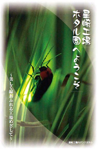 ホロコースト大事典 未読 箱、帯付