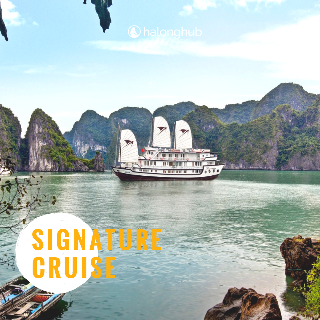 HalongHub's tweet photo. Here you'll find the best Halong Bay luxury cruises, which have a huge selection of deals to help make your vacation dream come true. https://t.co/wZGhKrJOyP
