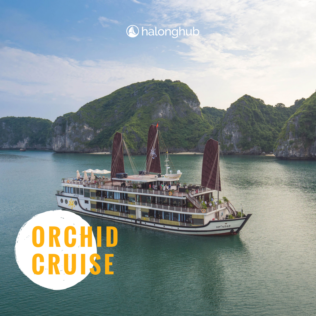 HalongHub's tweet photo. Here you'll find the best Halong Bay luxury cruises, which have a huge selection of deals to help make your vacation dream come true. https://t.co/wZGhKrJOyP