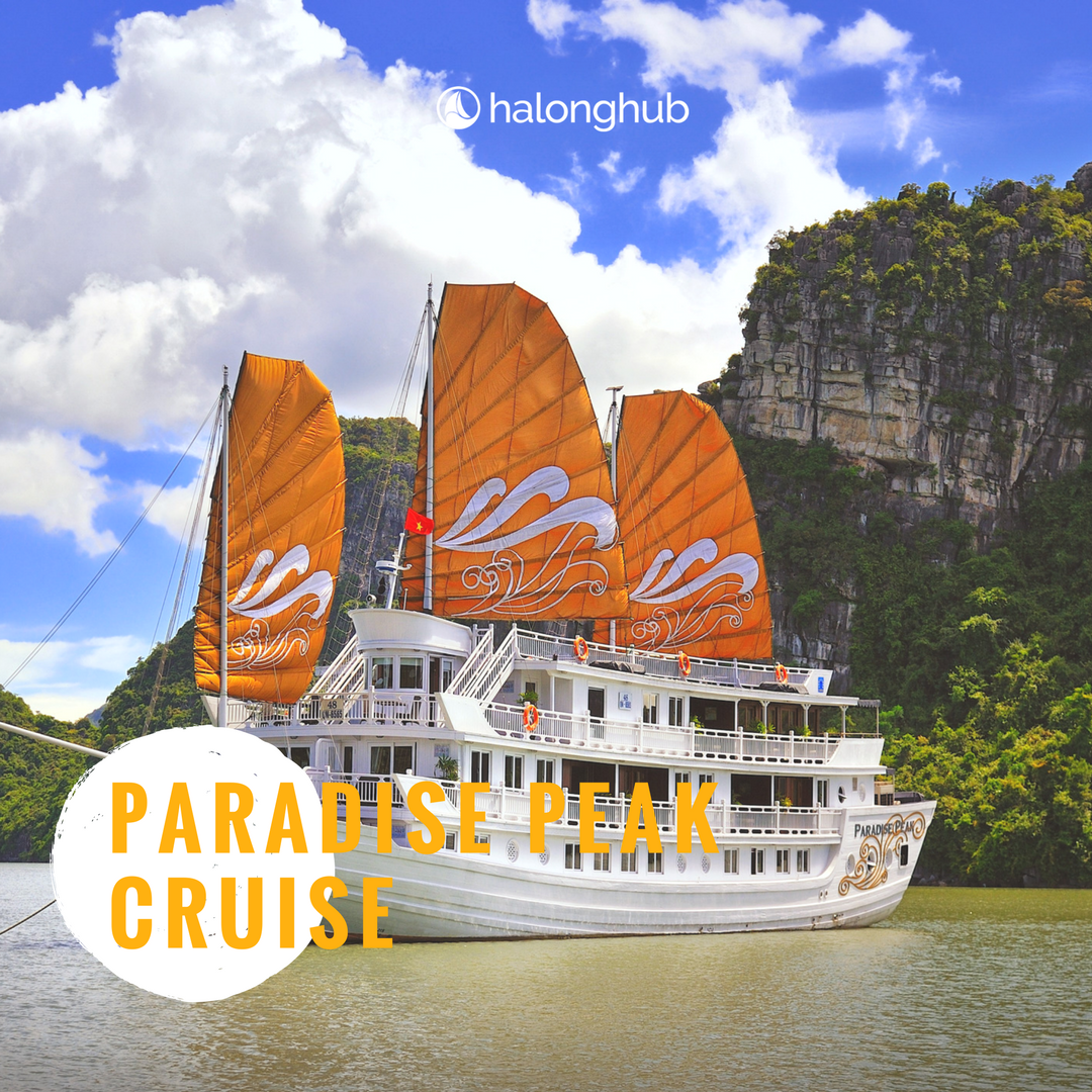 HalongHub's tweet photo. Here you'll find the best Halong Bay luxury cruises, which have a huge selection of deals to help make your vacation dream come true. https://t.co/wZGhKrJOyP