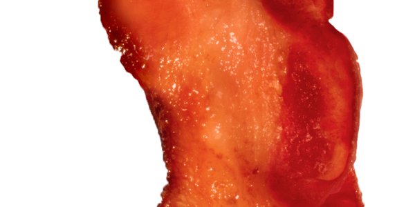 MVG_Hulk's tweet photo. Only 2 ½ feet of Little Caesars bacon to go. https://t.co/1YY1axtcwD