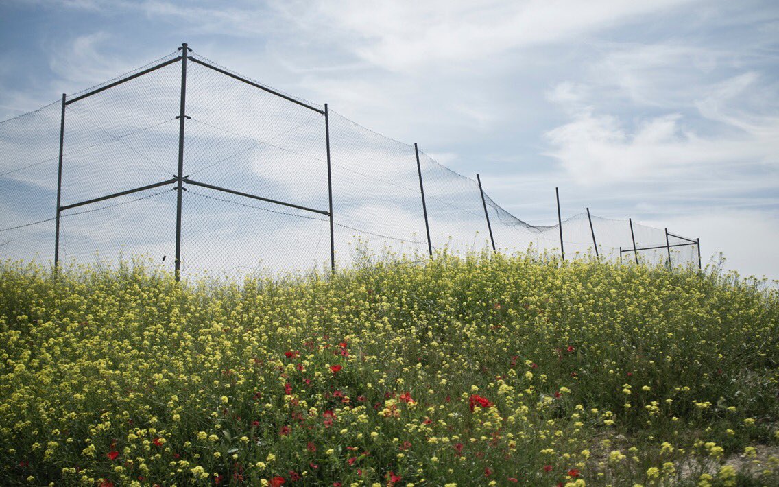 PRINT RELEASE // The Apartial Monthly Edition… // Our first featured artist is JM Ramirez Suassi // Learn more: apartial.com/monthly_editio… //