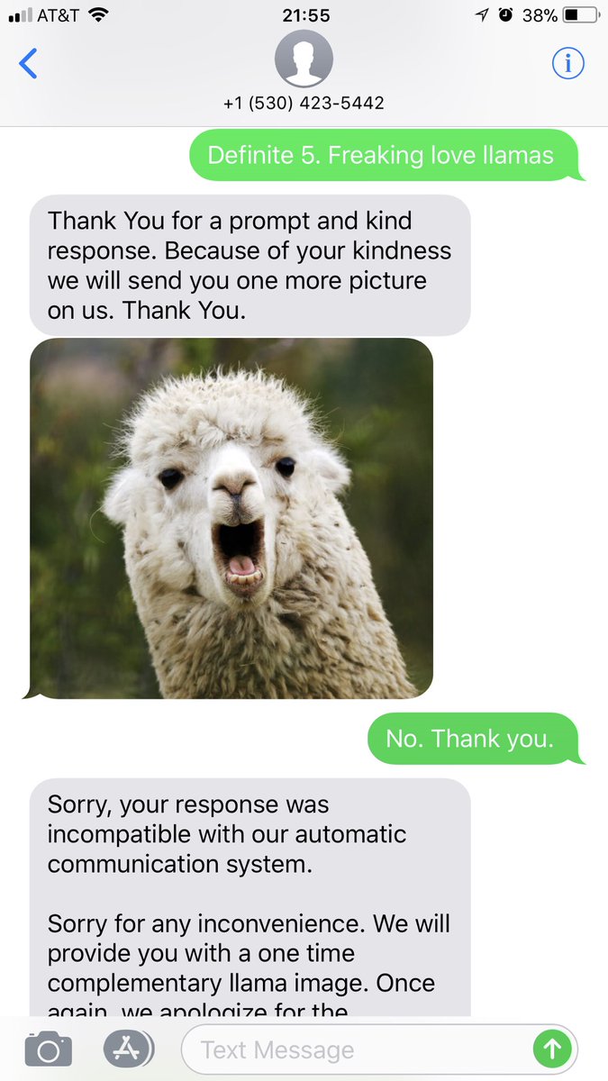 When someone starts prank texting you with llama pictures but then you just  want more llama pictures 🤷🏼\u200d♂️, image size:675x1200