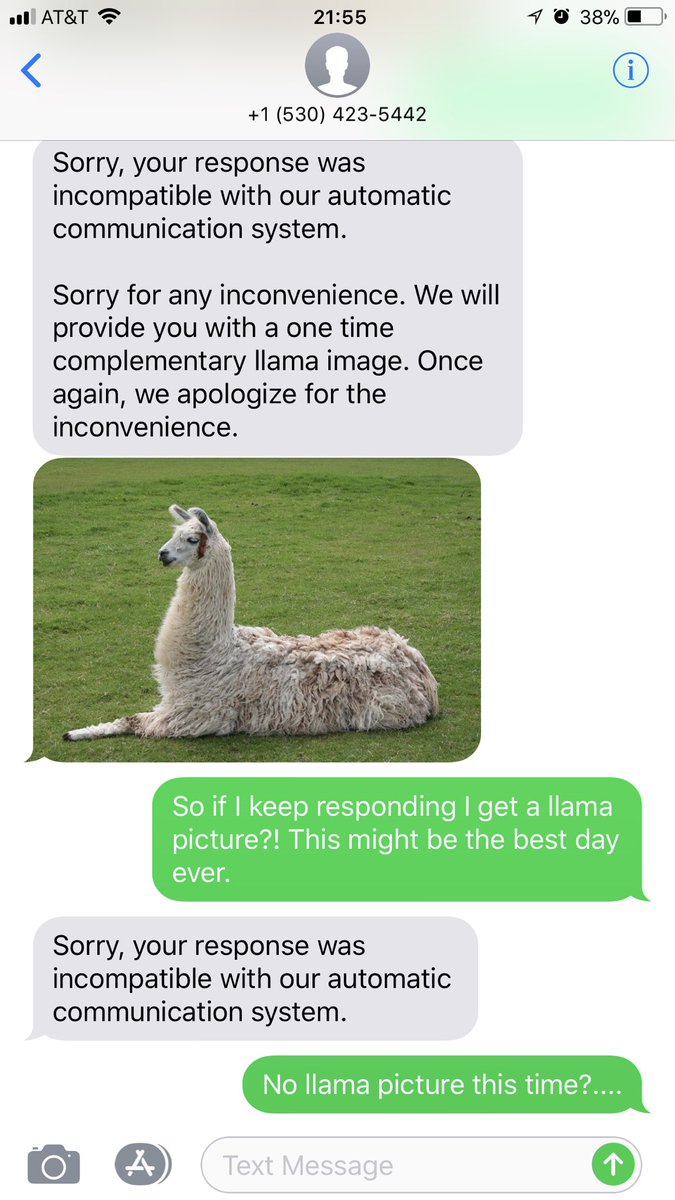 When someone starts prank texting you with llama pictures but then you just  want more llama pictures 🤷🏼\u200d♂️, image size:675x1200