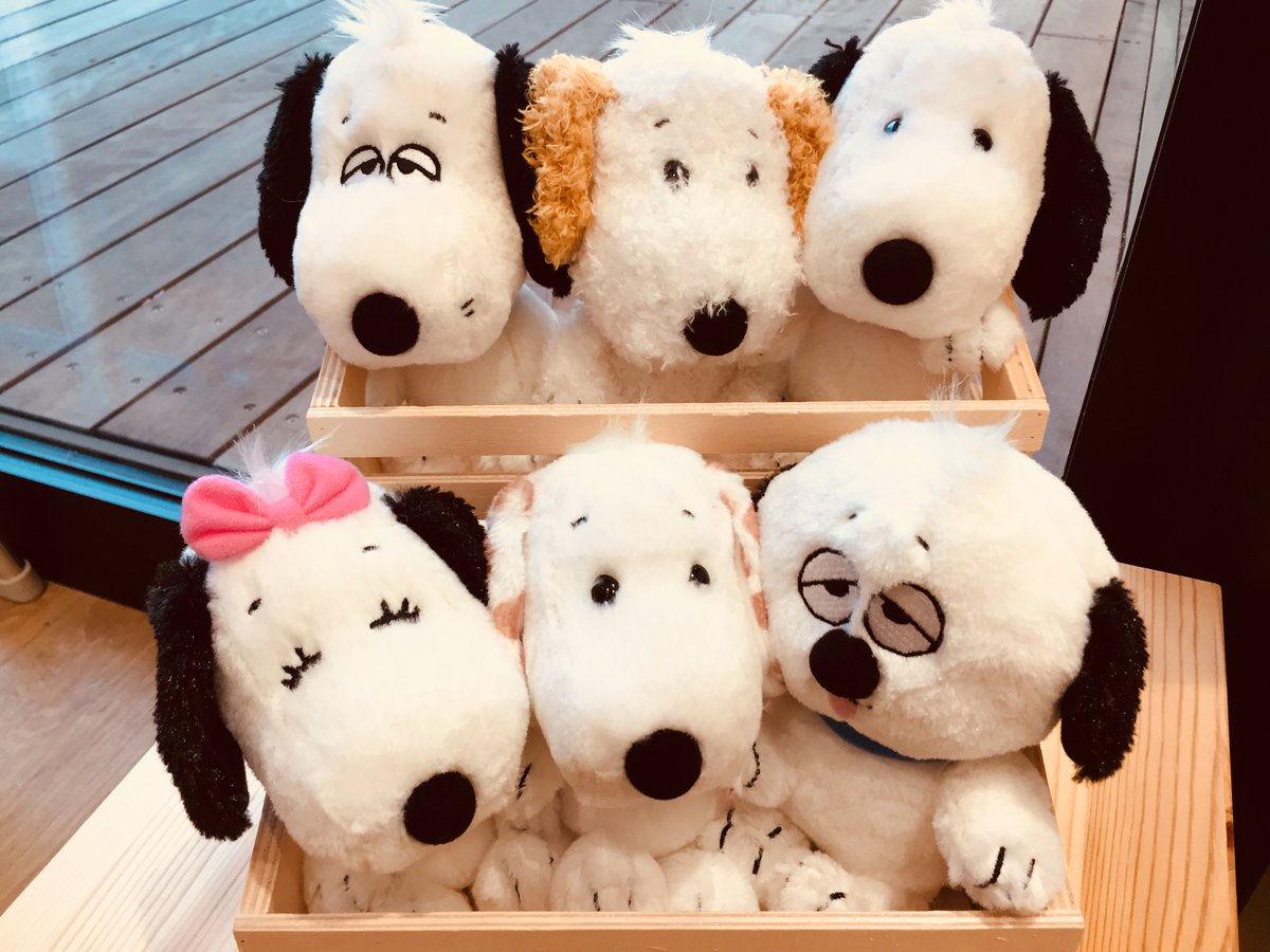 SALE/96%OFF】 デイジーヒルパピーズぬいぐるみ fawe.org