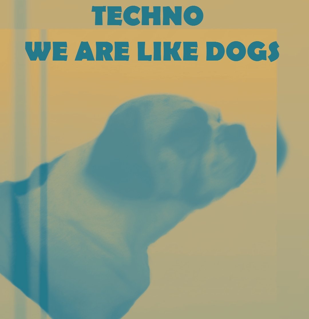 Alec Aken tweet media