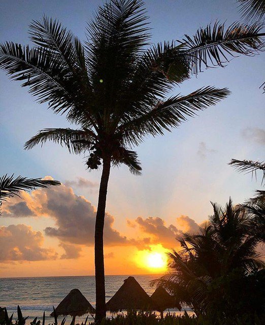 Reposting @encantadatulum:
Rise & Shine ✨🌴 #PrivateParadise
Book your stay with us, link in bio!
.
.
.
.
#EncantadaTulum #Tulum #Travel #RomanticGetaway #Getaway #Vacation #Explore #BoutiqueHotels #LuxuryHotels #BeachHotel #Paradise #PeacefulParadise #Sunrise #Beach #Palms