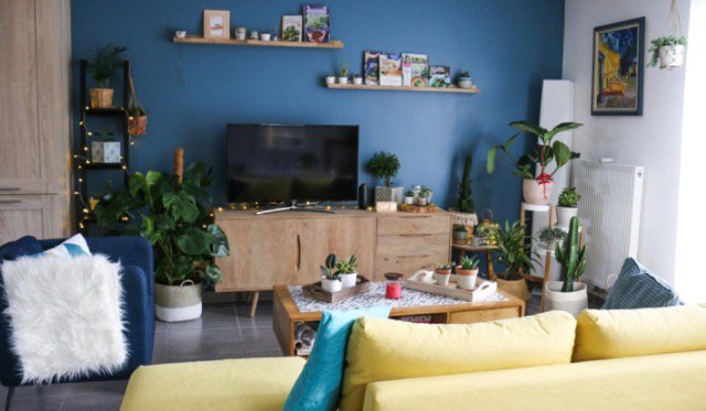 hellocoton's tweet photo. 10 plantes dépolluantes à avoir chez soi ! 🌿 https://t.co/g8HwPyDf1z https://t.co/bS6T35V58a