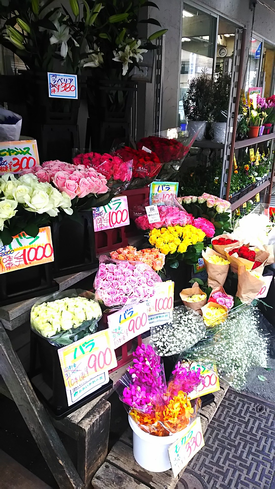 Follow 代々木上原 青山の花市場 S Air Latest Tweets Twitter