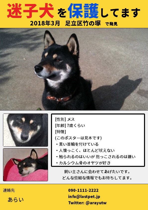 迷子ペットのデータベース Lostpet Jp お知らせ ポスター作成機能を追加しました 登録したページ下の管理メニューから作成できます 迷子版 保護版に対応 オンライン上で簡単操作 もちろん無料 Pdf Jpg形式で保存可 自宅にプリンタがなくて