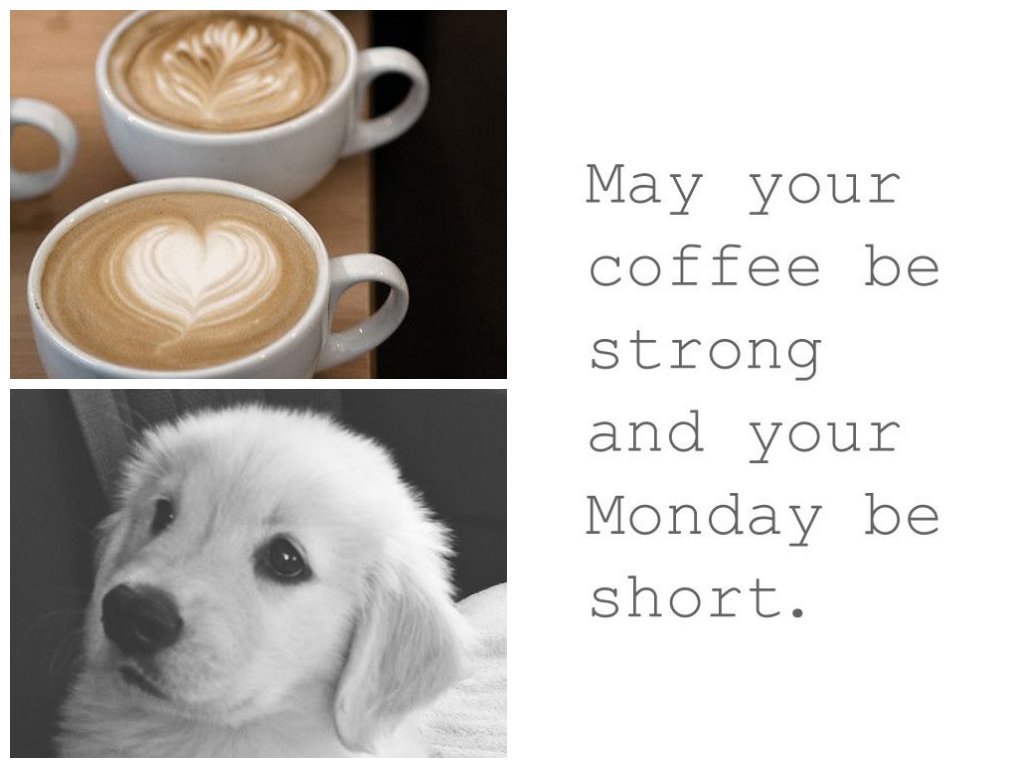 KFHNetwork's tweet photo. I've left the dog snoozing and I'm off to face the week ahead! :) #officedogs #MondayMotivation #rentadesk #kfhnetwork #hotdesks #coworkingspace https://t.co/Uoocjx4h2i