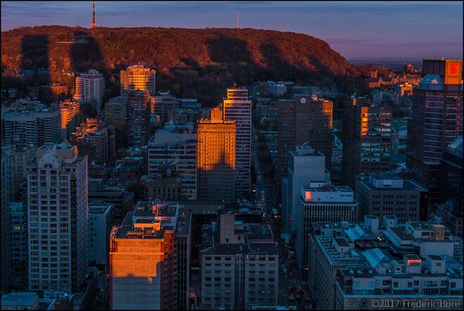 🏛️ Montreal skyscrapers glow with sunrise.
Witness the city that's in love with festivals, the arts, good food, living well and enjoying life to the hilt. 

📸 : bit.ly/2uBAgmj