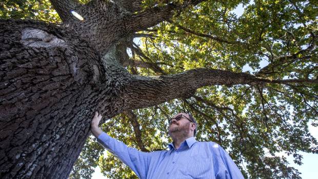 Timaru's Jack Lovelock oak inspires photo exhibition of others gifted by Adolf Hitler.