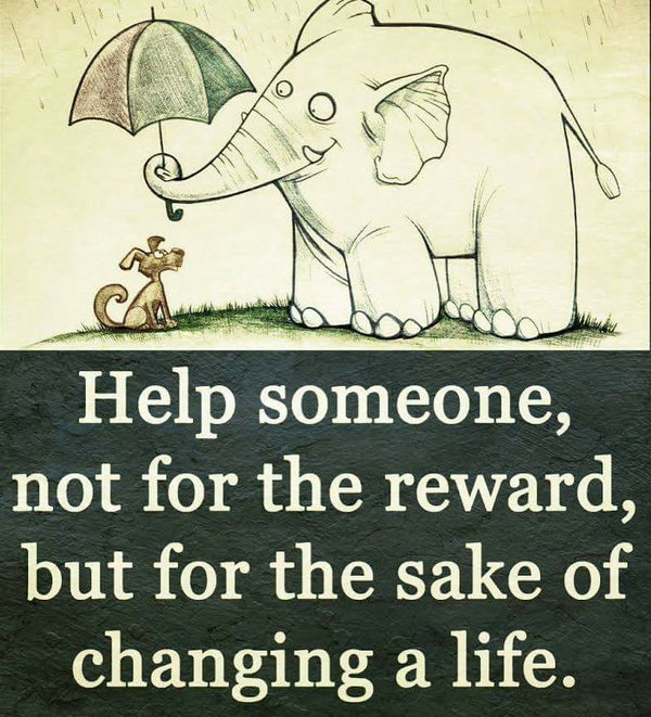 LeadersBest's tweet photo. Help someone, not for the reward,
but for the sake of changing a life.
via @chanyatang2
#KindnessMatters #LifeIsTeamwork #LeadersBest https://t.co/0Vbtqru7Zj