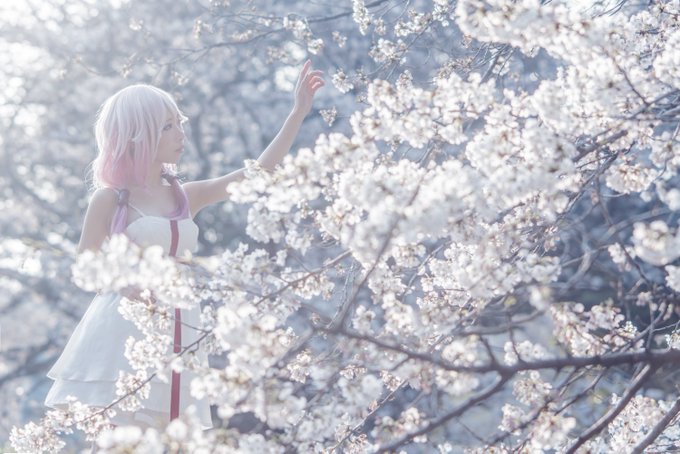 Twitterのコスプレ画像37