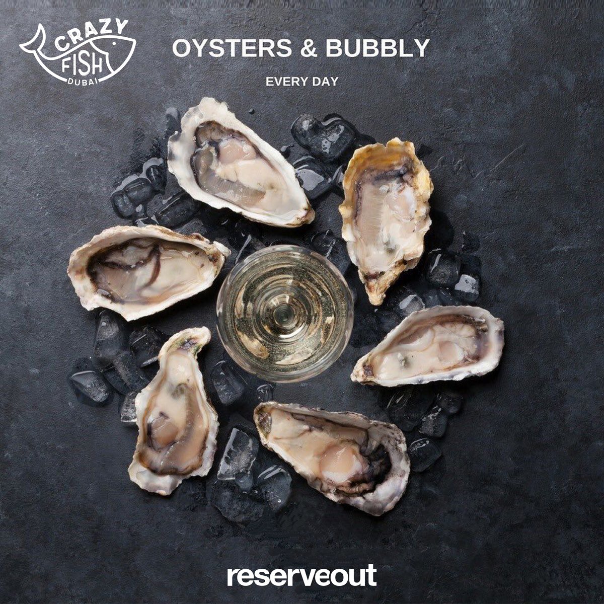 ReserveOutDubai's tweet photo. UNLIMITED OYSTERS &amp; more only at the #CrazyFish. Hurry &amp; book this promo now through https://t.co/9u2mAQtKhv. P.S. Book through our app instead of our website to get 300 points instead of 100: https://t.co/nWeIEPTGkD. #Reserveout https://t.co/d6MTNd5j6F