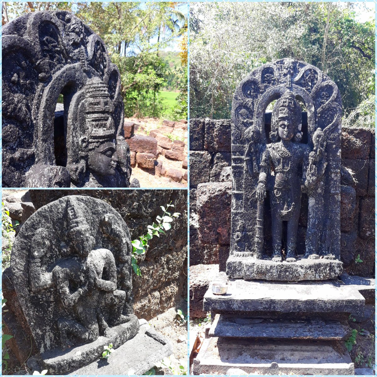 12th century idol of #Vishnu in the ruined Laxmi Narayana temple in Vichundre, Sanguem. A fine example of #Kadamba era art and architecture, it stands open to vagaries of nature but is enshrined in a grove and protected by the State department of archaeology.

#goabeyondbeaches