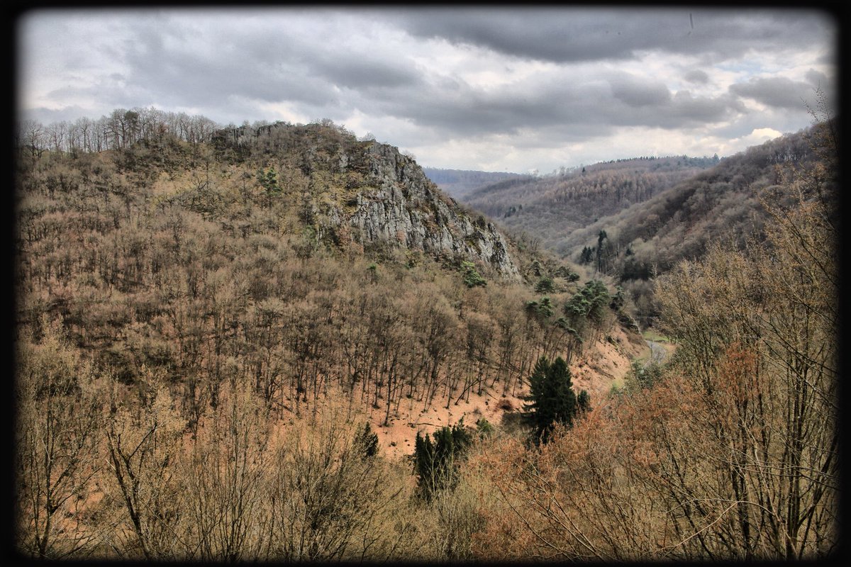 ChrissyvWellean's tweet photo. ... over the hills and not so far away ... #countryside #gutenacker #rupbachtal #rheinlahnkreis #hills #forest #trees #germany #landscape #nature #naturephotography #outdoors #explore #mood #atmosphere #imagination #magic #majestic #secretland #dream https://t.co/YHtv8Fh0nx