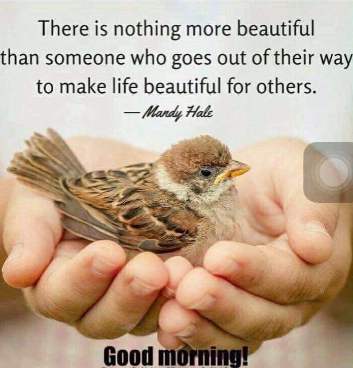 Sharda Prasad Yadav tweet media
