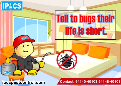 IPCSPestControl's tweet image. Tell to #bugs their life is #short

#IPCSPestControl #PestControlInJaipur#PestControlJaipur 
#MosquitoControl #TermiteControlJaipur#AntiTermiteTreatment

Call Now: 9414040103,9414840103
ipcspestcontrol.com