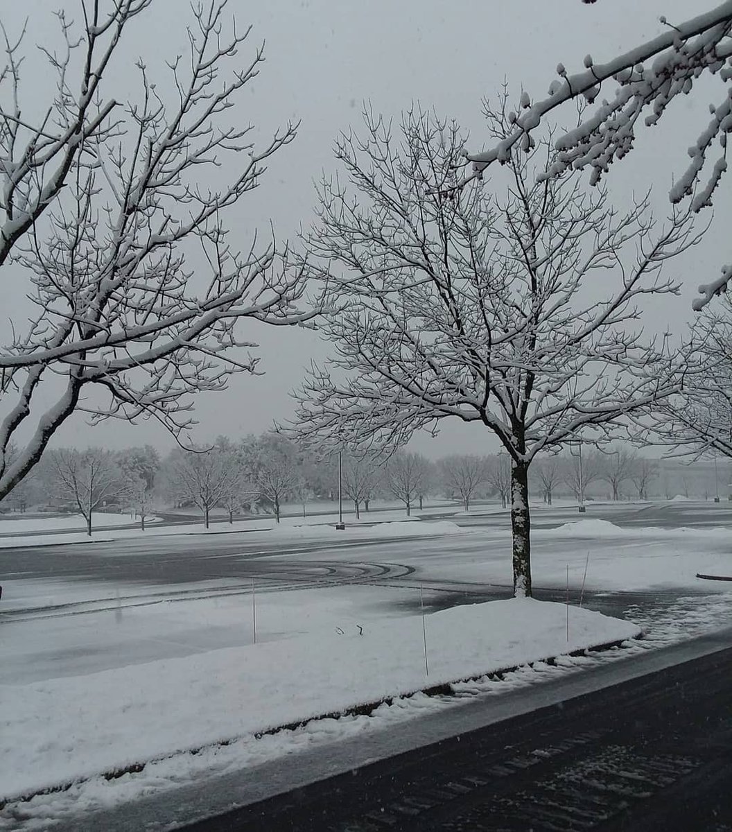 gna35runner's tweet photo. From sunny and almost 60 degrees yesterday to a few inches of heavy #snow this morning.
Crazy #pennsylvania weather 🌨❄
#lifeinpa #lehighvalley #snowday #springsnow #aprilsnow https://t.co/3dulbX8msQ
