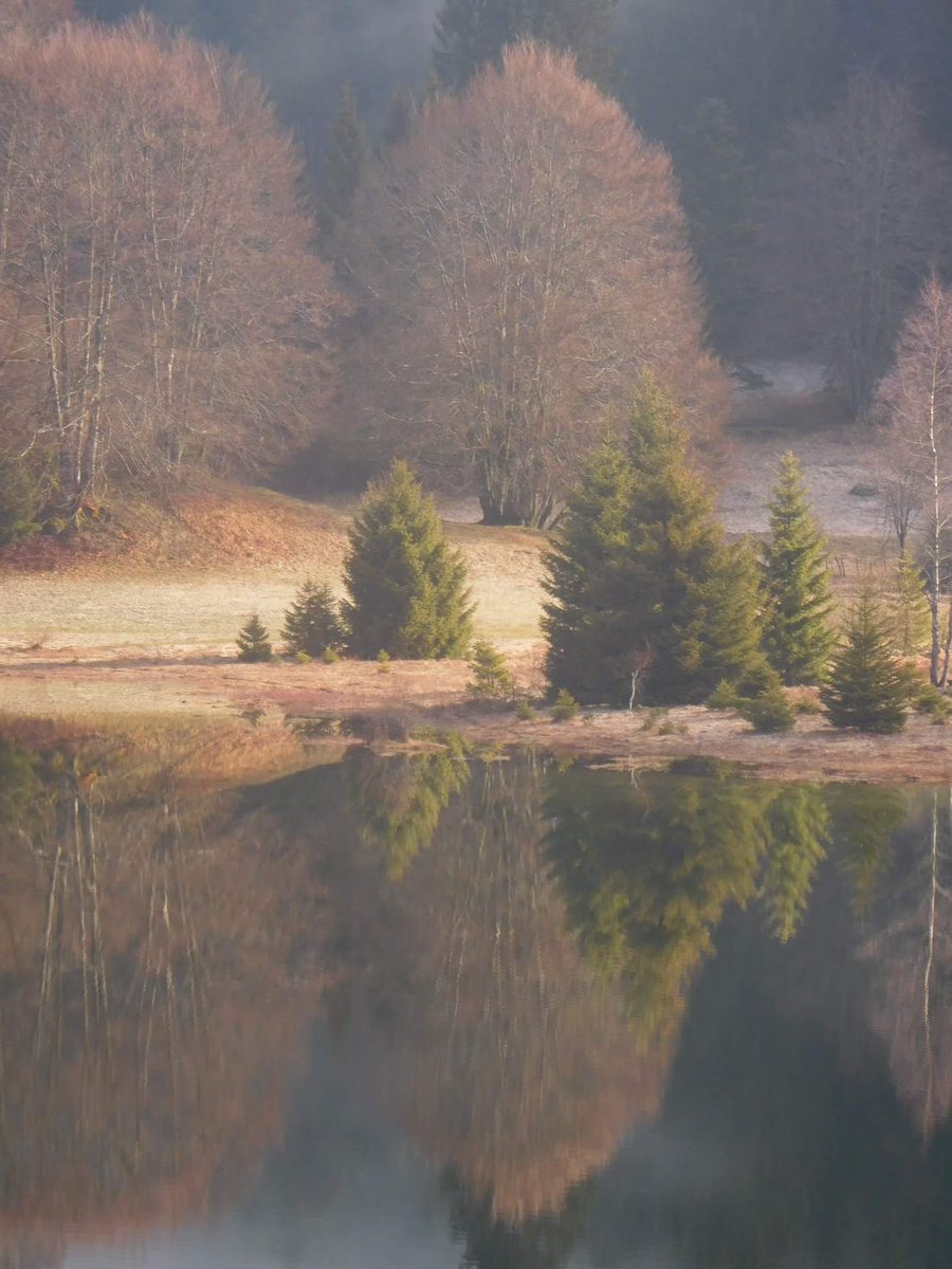 BereniceOBADIA's tweet photo. Lac Genin #Ain #Tourisme #LacGenin #Avril https://t.co/cYJThrhQEg