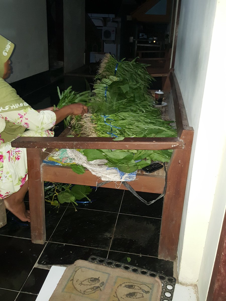 bwangiberkebun's tweet photo. lembur panen Kebun Komunitas #singhing glagah @IDberkebun @yulianpurnom @Hariono_Pam @bayuhadiyanto2 @max_rury @deeviana_ https://t.co/fubFrjuKnz