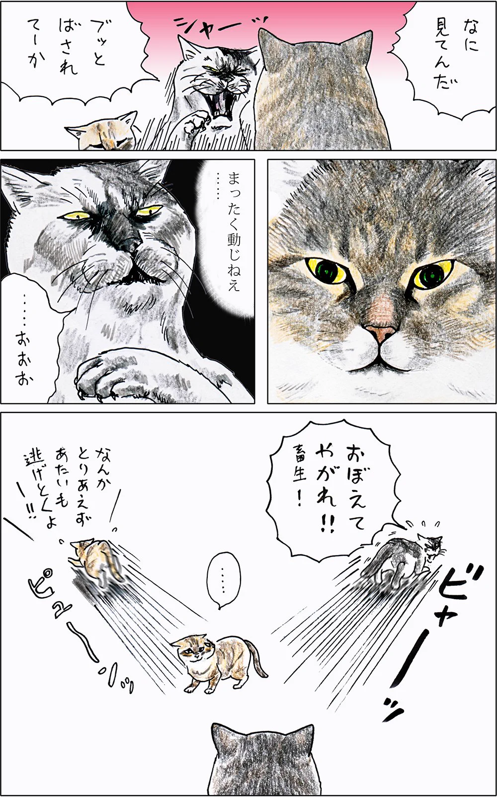 興味があるのはそっちｗ猫の「つーさん」がとんでもない貫禄でナンパ猫を撃退する話ｗ