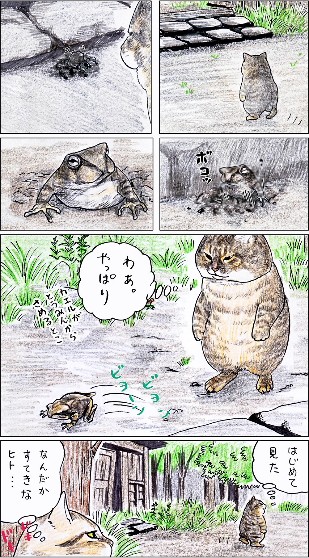 興味があるのはそっちｗ猫の「つーさん」がとんでもない貫禄でナンパ猫を撃退する話ｗ