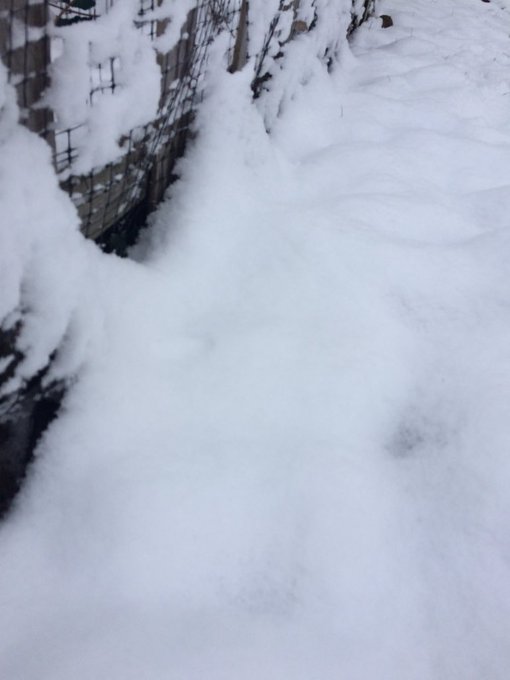 Brrrrr!!!! Enough already! 5 inches and not the type I want to play with! https://t.co/09GCZNc7Va<a href="/tag/sexy"class="tags"><span>#sexy</span></a><a href="/tag/milf"class="tags"><span>#milf</span></a><a href="/tag/nsfw"class="tags"><span>#nsfw</span></a>