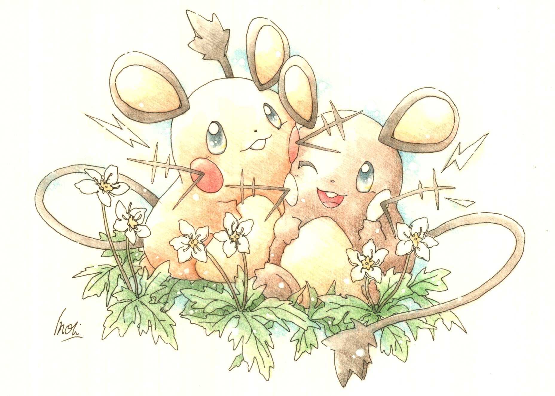 旧 Inori 今日のポケモン図鑑 ｎｏ ６７６ デデンネの ほっぺすりすり ニリンソウの花言葉 ずっと離れない T Co Nmyiwanhco Twitter