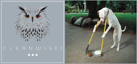 CleanwiseLtd tweet picture
