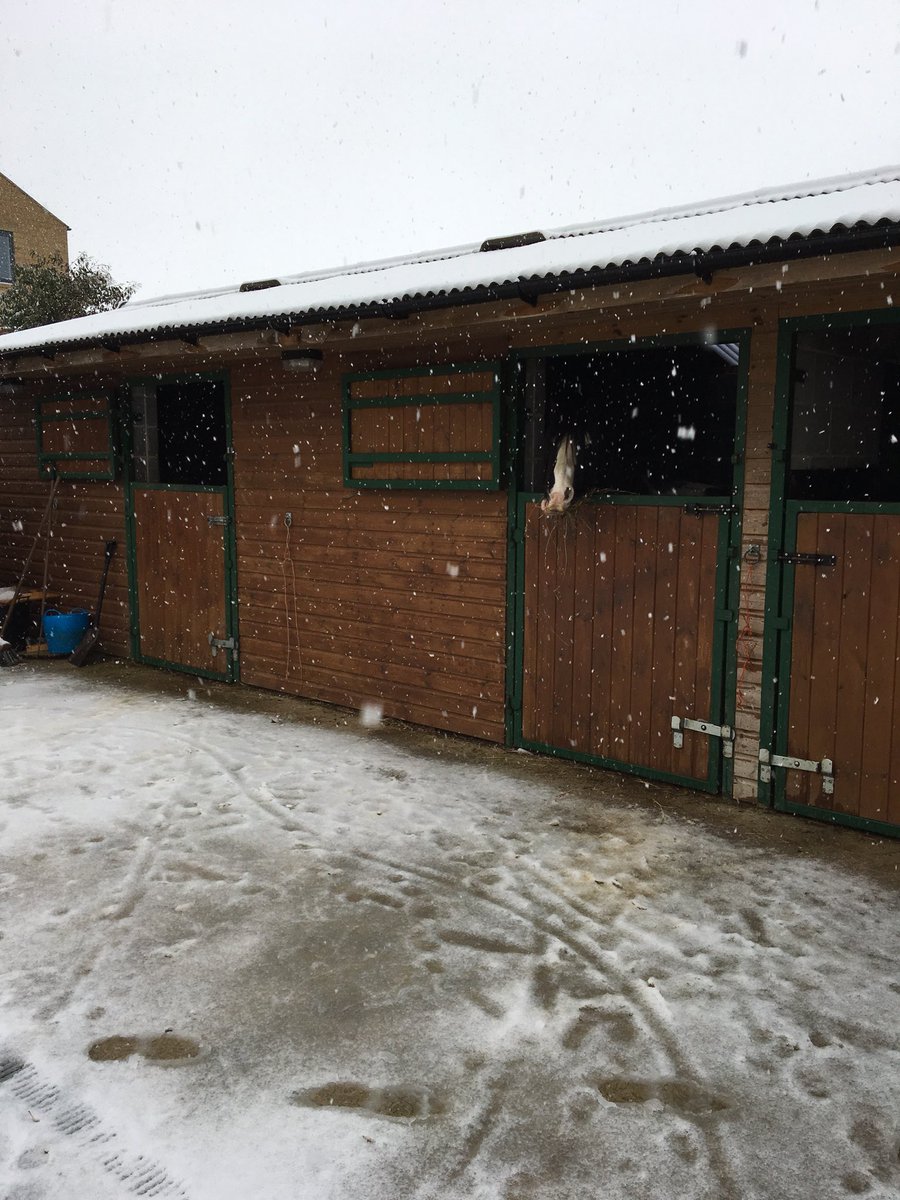 HanAlffriends's tweet photo. SNOW! Not quite what we expected this morning! Alfie is spending the day indoors with the rest of the ponies. Who else has woken up to snow this morning?!? 😶⛄️✨🌿 https://t.co/QV9iPIujSt