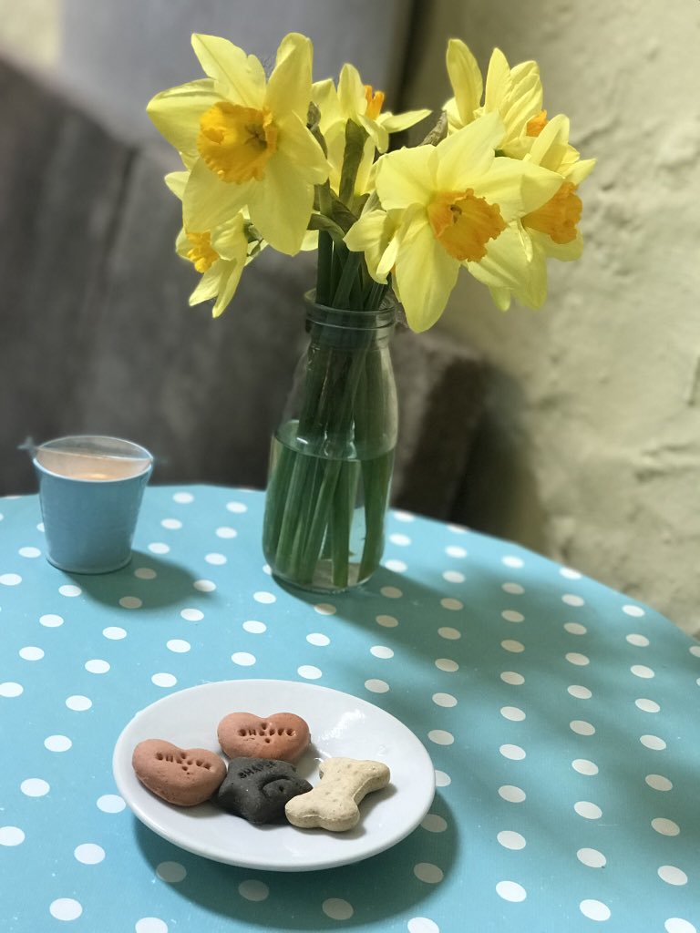 dotty4paws's tweet photo. Enjoying treats from the #EasterBunny at @OldStablesDeli 🐾😋🐰🐣

#dogfriendly #Wiltshire #castlecombe https://t.co/IcoGbbwGEM