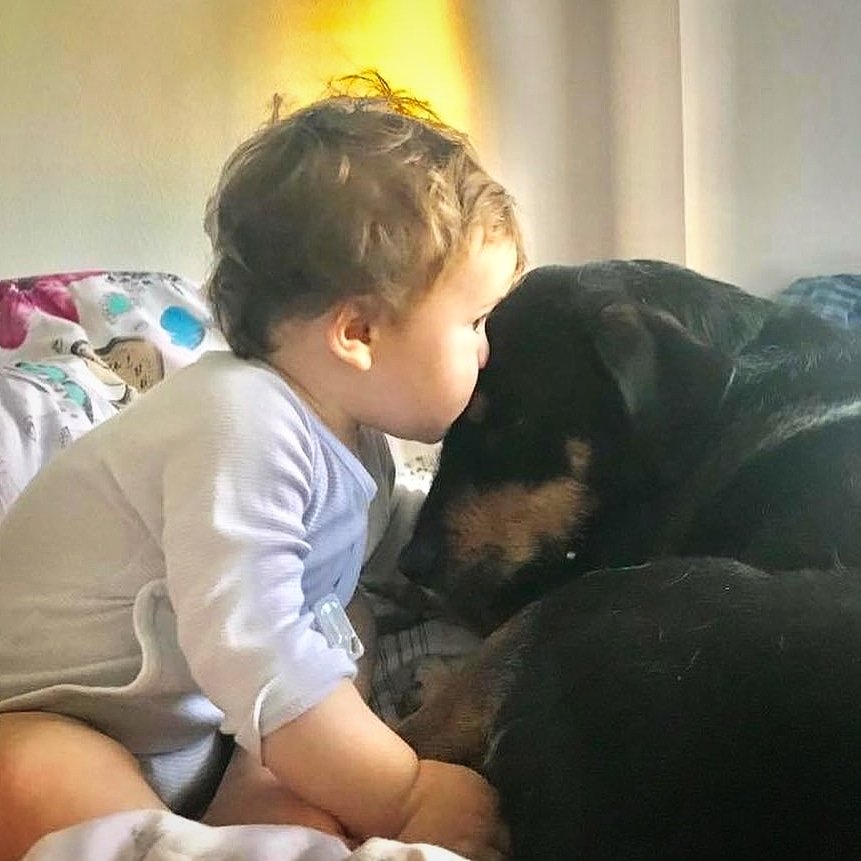 amigosdelperro's tweet photo. CESU adoptado hace unos años ❤❤❤ 
Gracias Cristina 🤗 
Amor perruno!! 👶🏼❤️🐶 
#cesu #javiii #adopta #seadoran #siemprejuntos #amorinfinito #noabandones https://t.co/gYXHl0KUDo