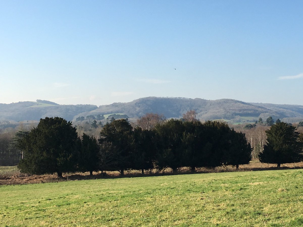 BignorPark's tweet photo. We  have now created website pages for our fantastic new meadow wedding  venue Ha'penny Hill, available late summer onwards (please contact  mike@tentsnevents.co.uk)

 https://t.co/1qb6bPRUgX

https://t.co/Nfaj2EPjJU

#sussexwedding #WeddingVenues #sussexweddingvenues https://t.co/AaR03GfQm6