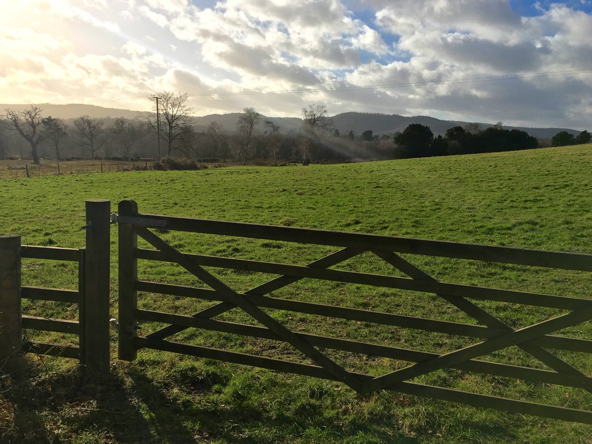 We  have now created website pages for our fantastic new meadow wedding  venue Ha'penny Hill, available late summer onwards (please contact  mike@tentsnevents.co.uk)

 bignorpark.co.uk/index.php/wedd…

bignorpark.co.uk/index.php/wedd…

#sussexwedding #WeddingVenues #sussexweddingvenues