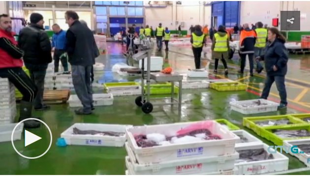 Reportaje de la TVG sobre Fishing Accelerator donde se recoge la esencia de este programa. Fishing Accelerator no sería posible sin socios como Orpagu y Opromar y startups como <a href="/bound4blue/">bound4blue</a> e <a href="/seeimpactvision/">ImpactVision</a> , con tanta visión y ganas de colaboración. crtvg.es/informativos/d…