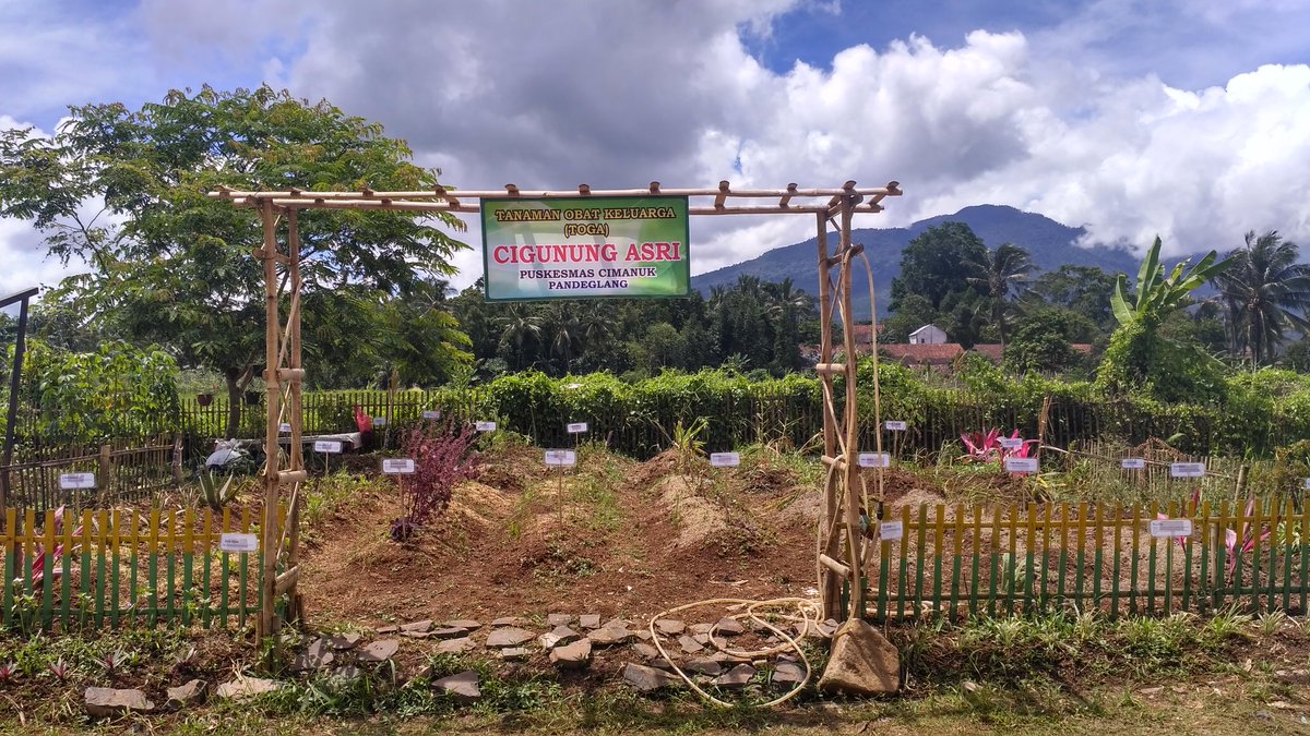 PkmCimanuk's tweet photo. Tanaman Obat Keluarga (TOGA) Cigunung Asri. di UPT Puskesmas DTP Cimanuk. Semoga sukses.. Aamiin..  @dinkespdg @irnadim99 @irnacenter @humaspandeglang https://t.co/YiP257jS1I