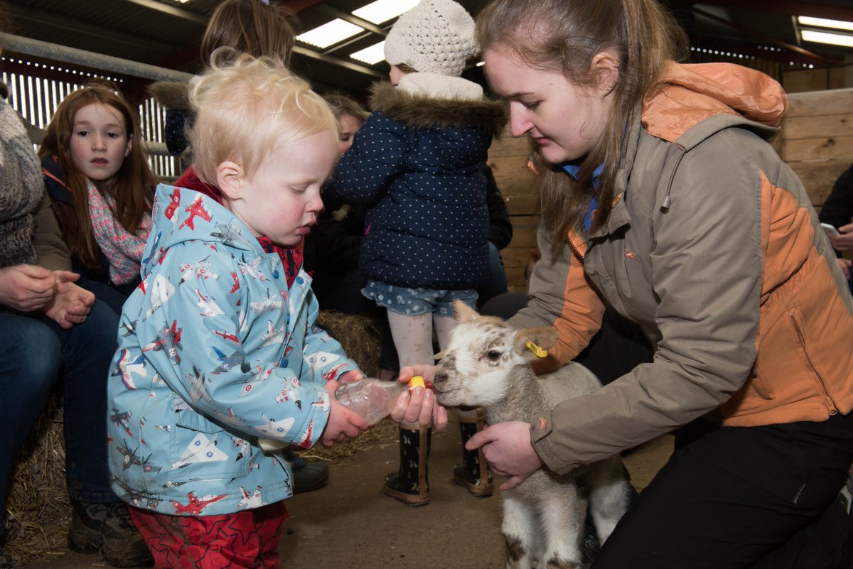 greendragoneco's tweet photo. Good morning! We are OPEN as usual today until 5.30pm! Come along and enjoy our Spring Babies activities, let off some steam in the Soft Play, plus see and do so much more! #EasterMonday #springbabies #farmpark #dayout #familyfun https://t.co/CHnkOrsxUS