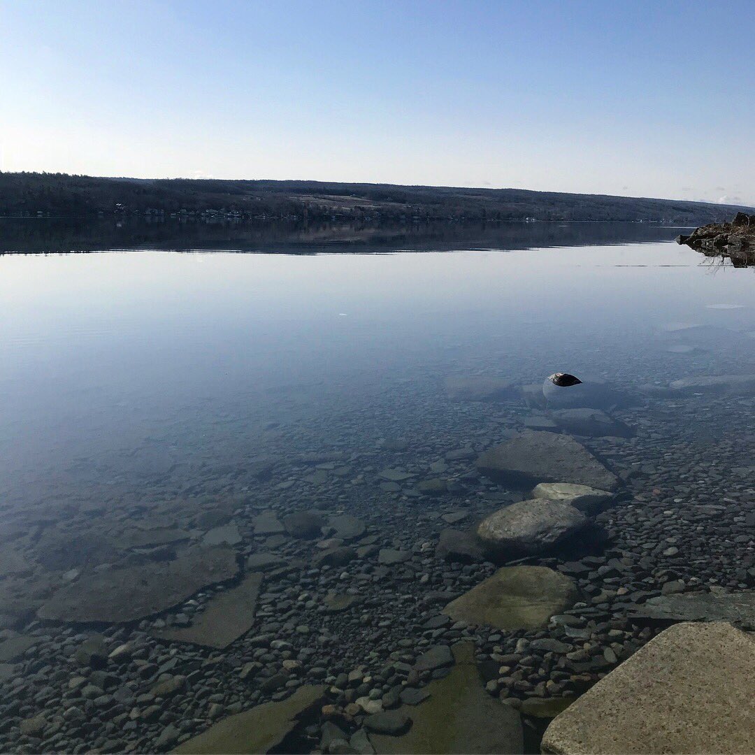 KeukaCollege's tweet photo. Date: Today.
To do: Be Happy!
🐺☀️✨#PointNeamo #KeukaLake https://t.co/4Wq3fgqoC0