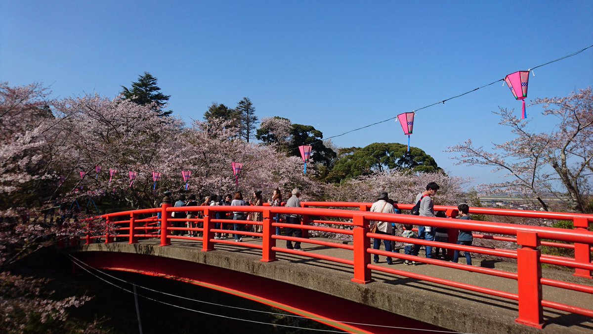 二本松寺 あじさいの杜 茨城県潮来市 در توییتر 先週末 水郷おみがわ桜つつじまつり に行ってきました 香取市の小見川城山公園というところで開催されています 二本松寺 桜 つつじ 香取市 城山公園 桜つつじまつり 観光