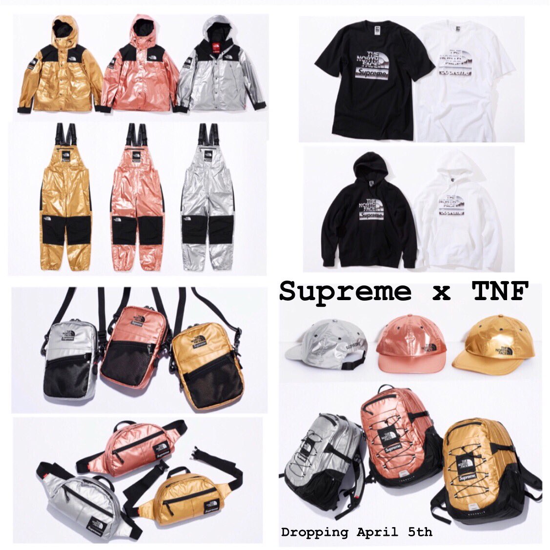 supreme north face bib