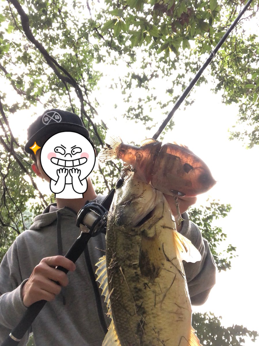 しらす 琵琶湖初心者 Fat 今日はビッグベイト持って野池へ タックル ブラックレーベル701xxhrb レボビースト ライン 東レ ビッグバスナイロン25lb シャロー付近に適当になげて 少し沈めてゆっくりと巻いてくると後ろからバスが アクションを何度か